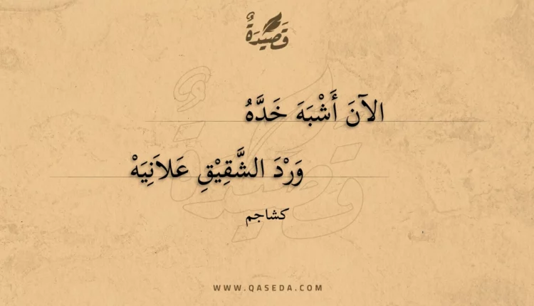 قصيدة الآن أشبه خده