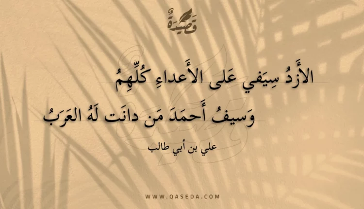 قصيدة الأزد سيفي على الأعداء كلهم