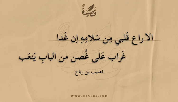 قصيدة الا راع قلبي من سلامه ان غدا