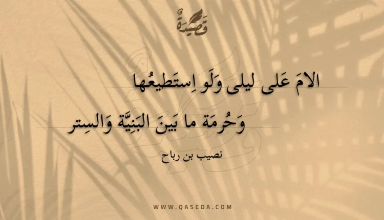 قصيدة الام على ليلى ولو استطيعها