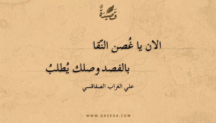 قصيدة الان يا غصن النقا