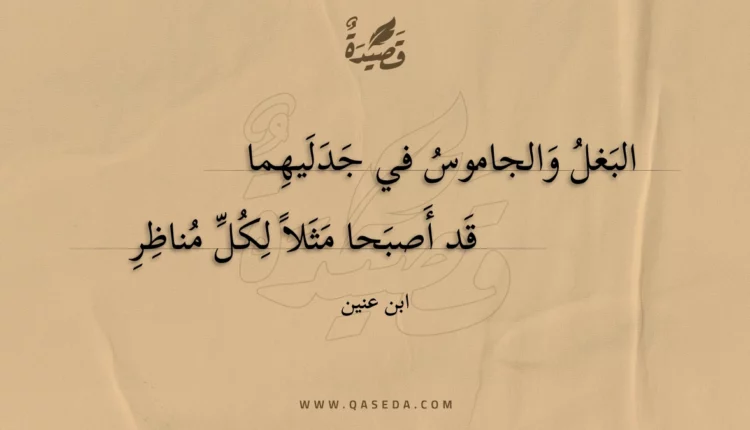 قصيدة البغل والجاموس في جدليهما