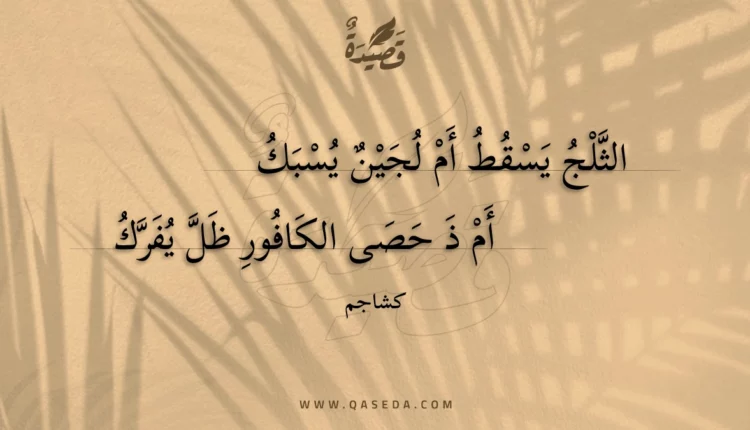 قصيدة الثلج يسقط أم لجين يسبك