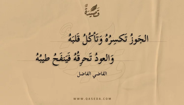 قصيدة الجوز تكسره وتأكل قلبه
