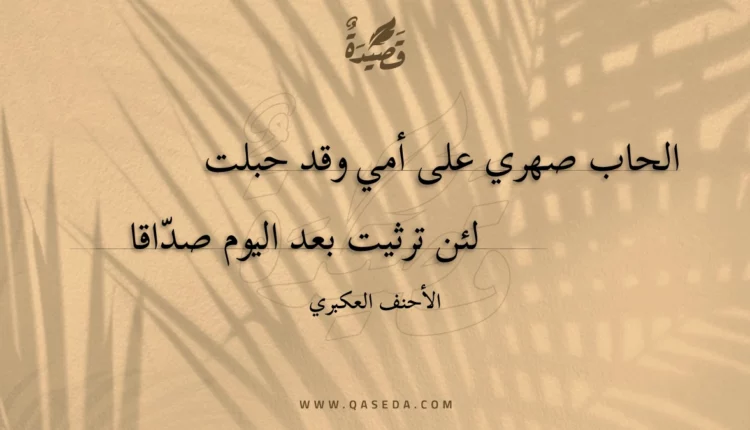 قصيدة الحاب صهري على أمي وقد حبلت