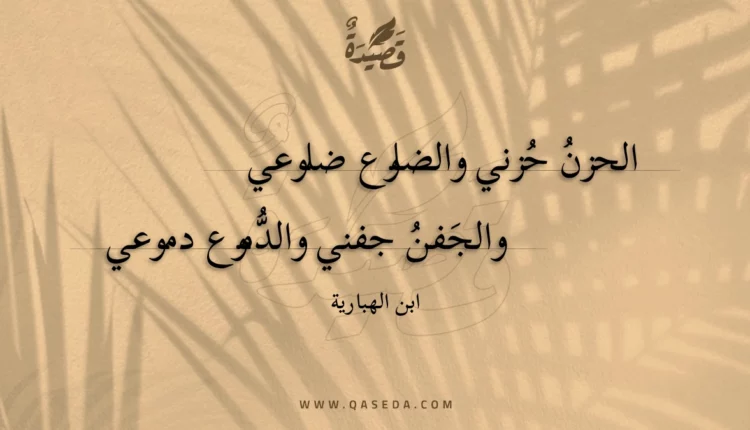 قصيدة الحزن حزني والضلوع ضلوعي
