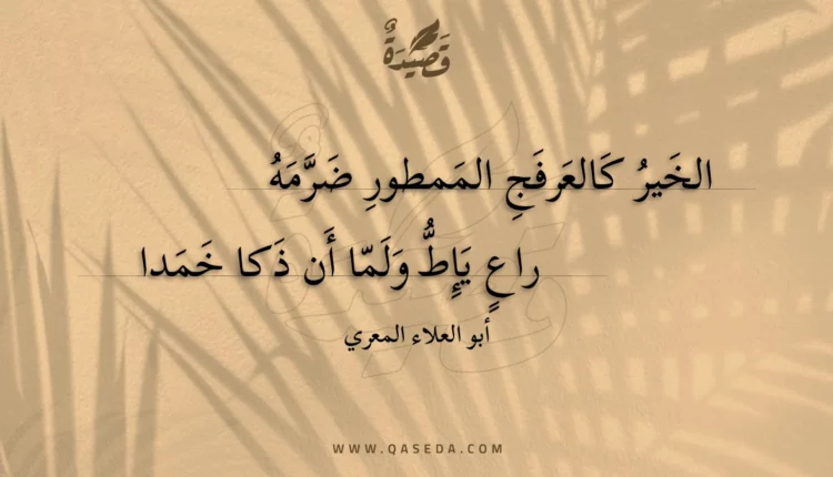 قصيدة الخير كالعرفج الممطور ضرمه