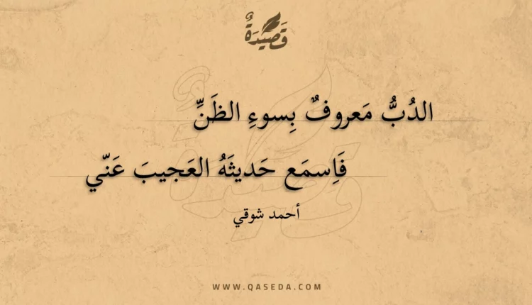 قصيدة الدب معروف بسوء الظن