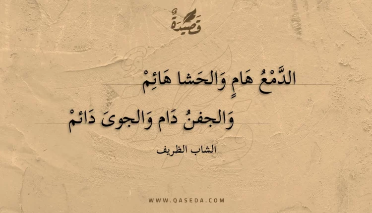 قصيدة الدمع هام والحشا هائم