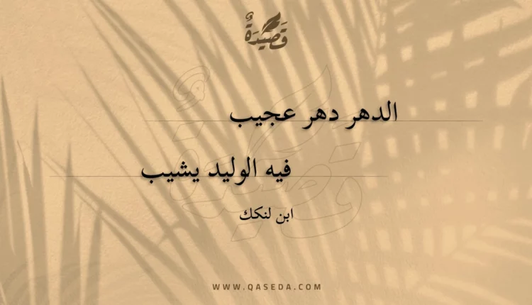 قصيدة الدهر دهر عجيب