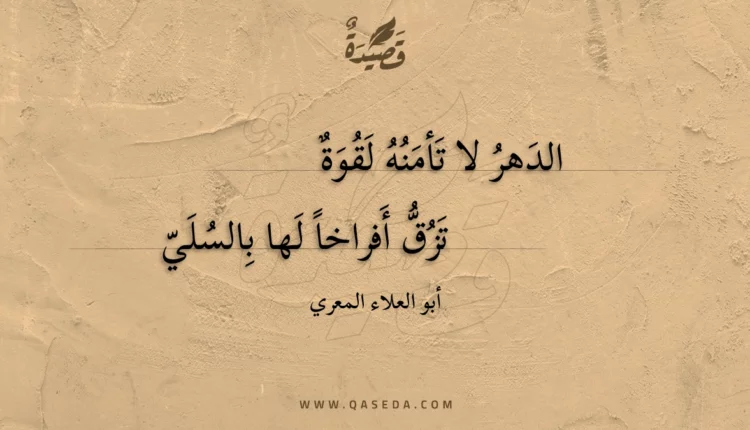 قصيدة الدهر لا تأمنه لقوة