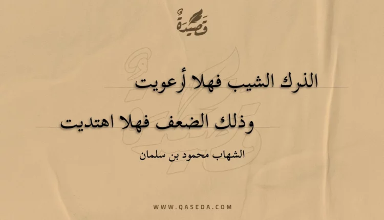 قصيدة الذرك الشيب فهلا أرعويت
