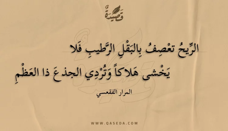 قصيدة الريح تعصف بالبقل الرطيب فلا