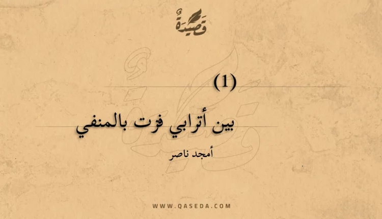 قصيدة الشاعر