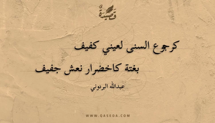 قصيدة الشهيدة