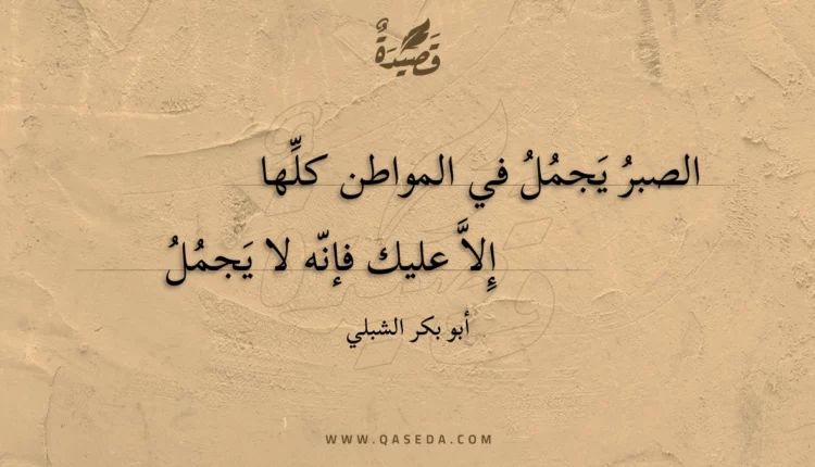 قصيدة الصبر يجمل في المواطن كلها