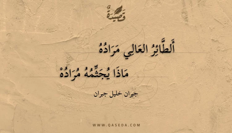 قصيدة الطائر العالي مراده