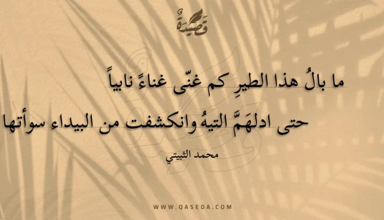 قصيدة الطير
