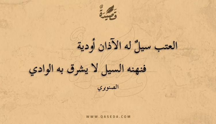 قصيدة العتب سيل له الآذان أودية