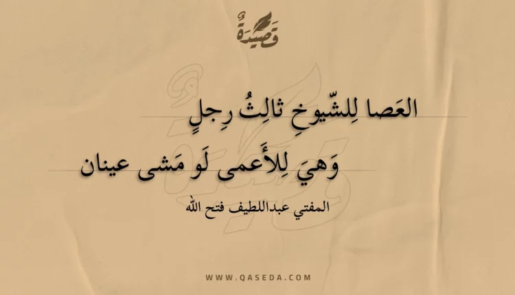 قصيدة العصا للشيوخ ثالث رجل