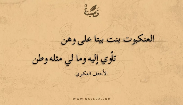 قصيدة العنكبوت بنت بيتا على وهن