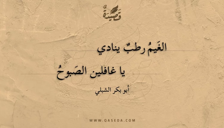 قصيدة الغيم رطب ينادي
