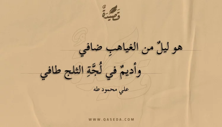 قصيدة القطب