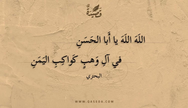 قصيدة الله الله يا أبا الحسن