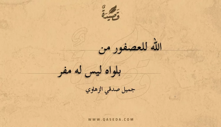 قصيدة الله للعصفور من