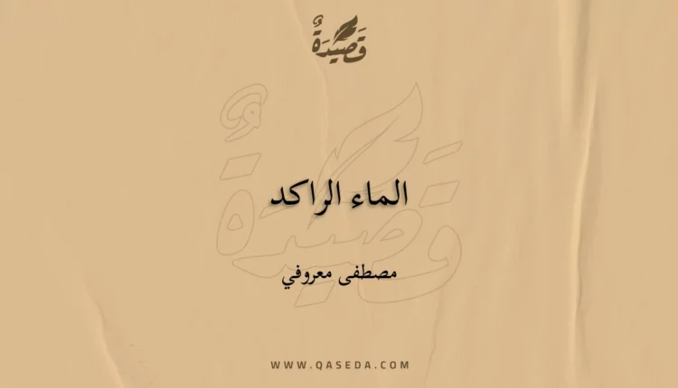 قصيدة الماء الراكد