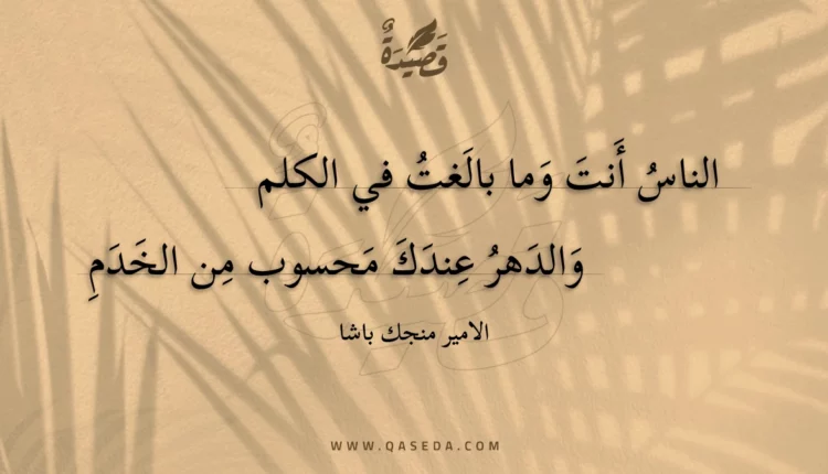 قصيدة الناس أنت وما بالغت في الكلم