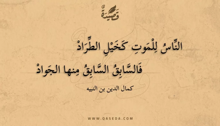 قصيدة الناس للموت كخيل الطراد