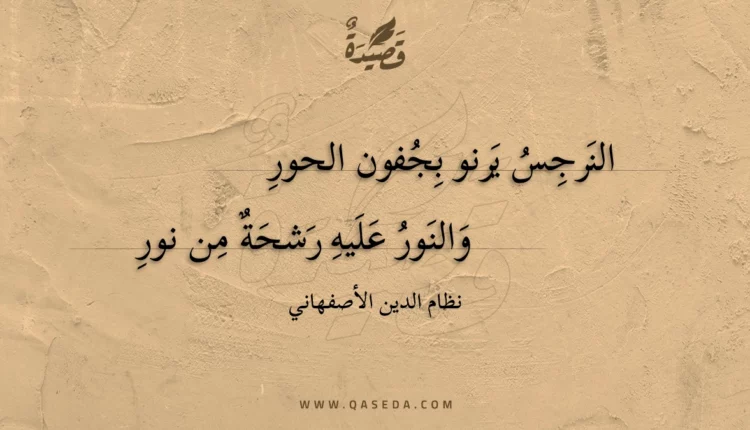 قصيدة النرجس يرنو بجفون الحور
