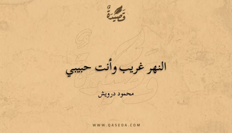قصيدة النهر غريب وأنت حبيبي