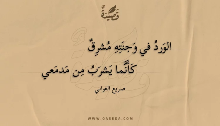 قصيدة الورد في وجنته مشرق