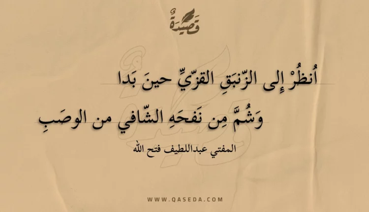 قصيدة انظر إلى الزنبق القزي حين بدا