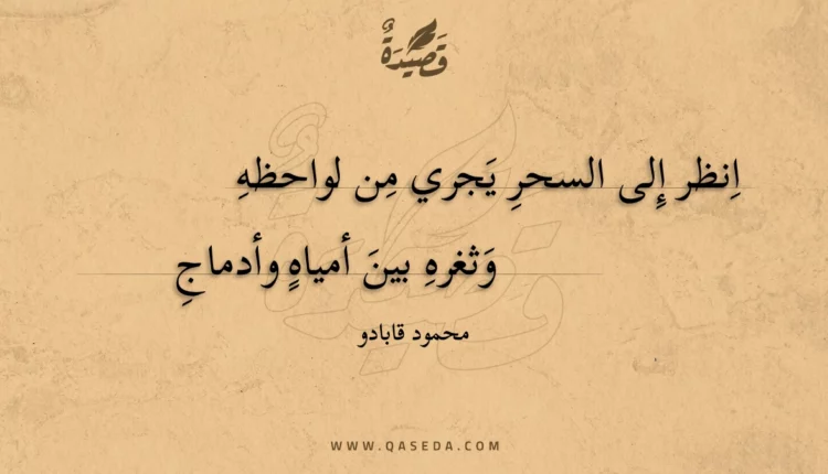 قصيدة انظر إلى السحر يجري من لواحظه