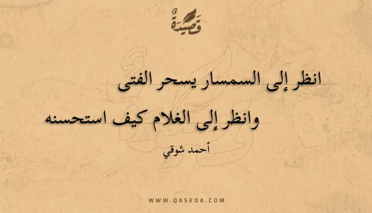 قصيدة انظر إلى السمسار يسحر الفتى