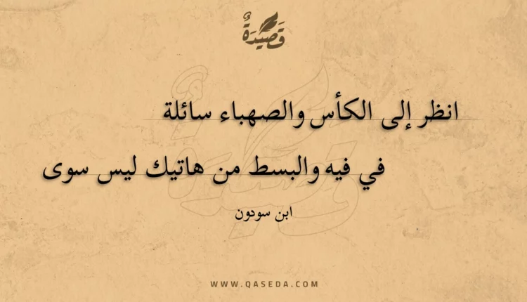قصيدة انظر إلى الكأس والصهباء سائلة