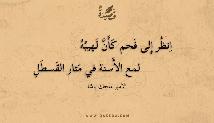 قصيدة انظر إلى فحم كأن لهيبه