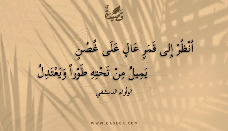 قصيدة انظر إلى قمر عال على غصن
