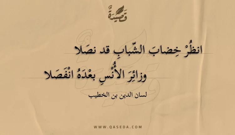 قصيدة انظر خضاب الشباب قد نصلا