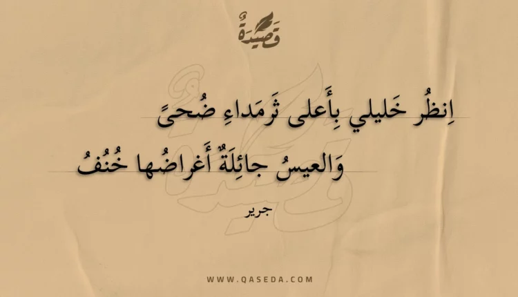 قصيدة انظر خليلي بأعلى ثرمداء ضحى