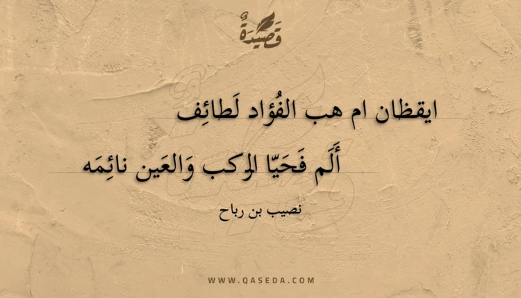 قصيدة ايقظان ام هب الفؤاد لطائف