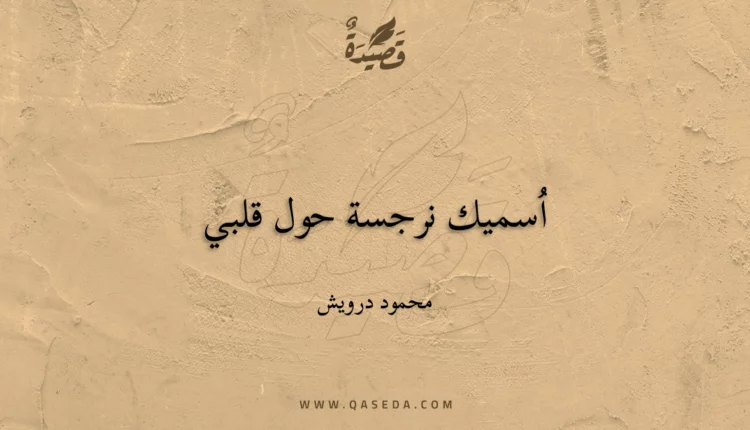 قصيدة اُسميك نرجسة حول قلبي