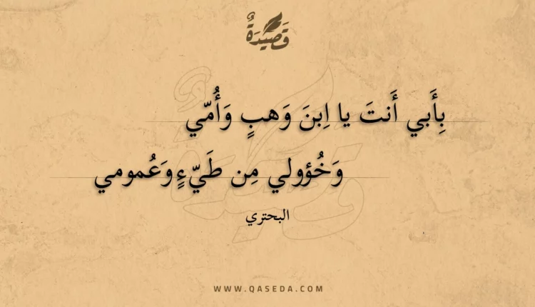 قصيدة بأبي أنت يا ابن وهب وأمي