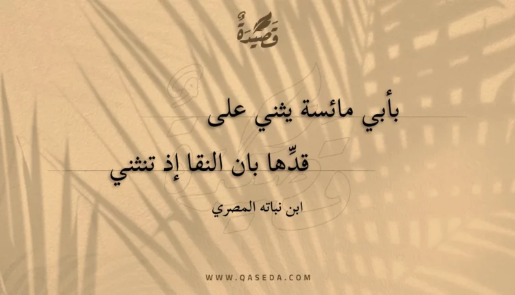 قصيدة بأبي مائسة يثني على