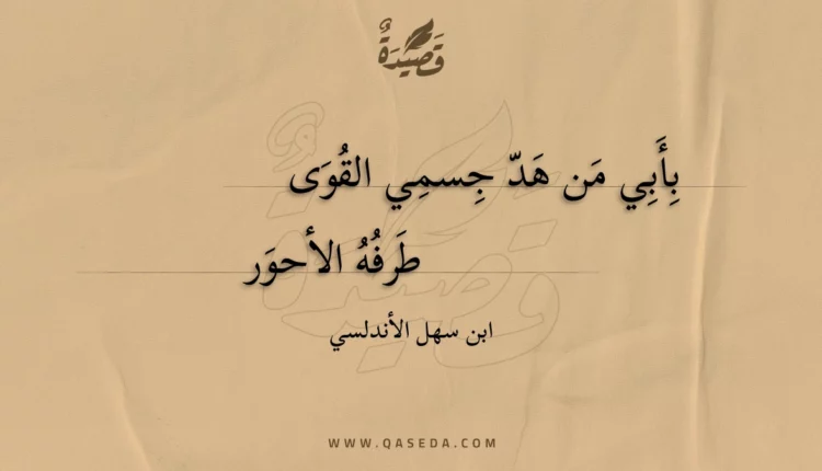 قصيدة بأبي من هد جسمي القوى