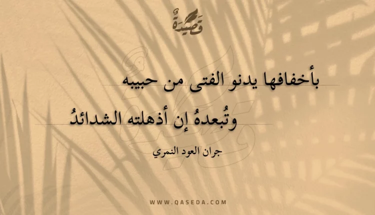 قصيدة بأخفافها يدنو الفتى من حبيبه