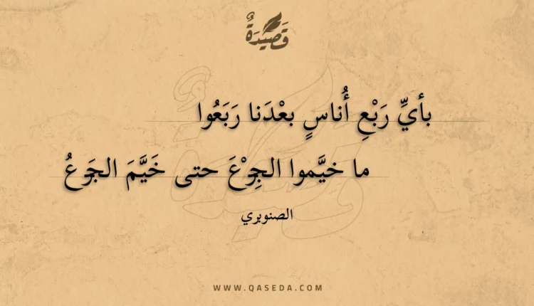 قصيدة بأي ربع أناس بعدنا ربعوا